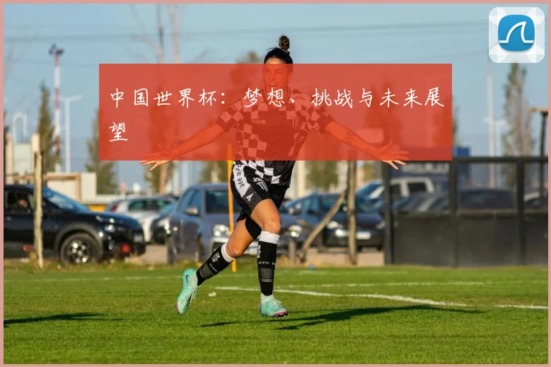中国世界杯：梦想、挑战与未来展望