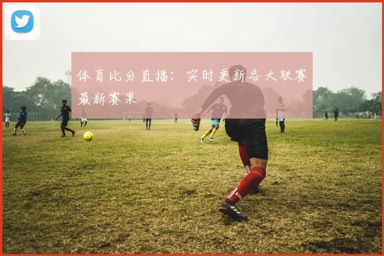 体育比分直播:实时更新各大联赛最新赛果